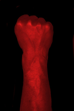 Die rote Gefahr © Flickr littledan77