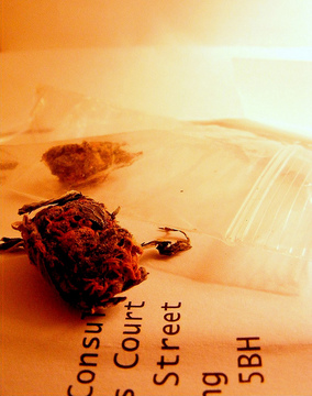 Marihuana lässt das Gehirn schrumpfen © Flickr gibffe