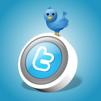 twitter ©Flickr xioubin low twitter ©Flickr xioubin low