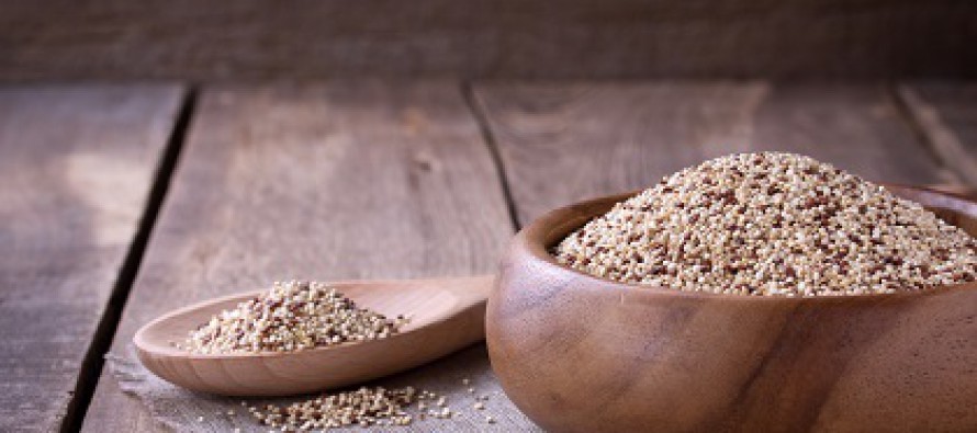 Quinoa: Gesund und lecker – aber was ist das eigentlich?