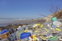 Warum uns Plastik krank macht