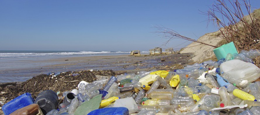 Warum uns Plastik krank macht