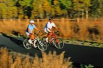 Als Trainingspartner ideal