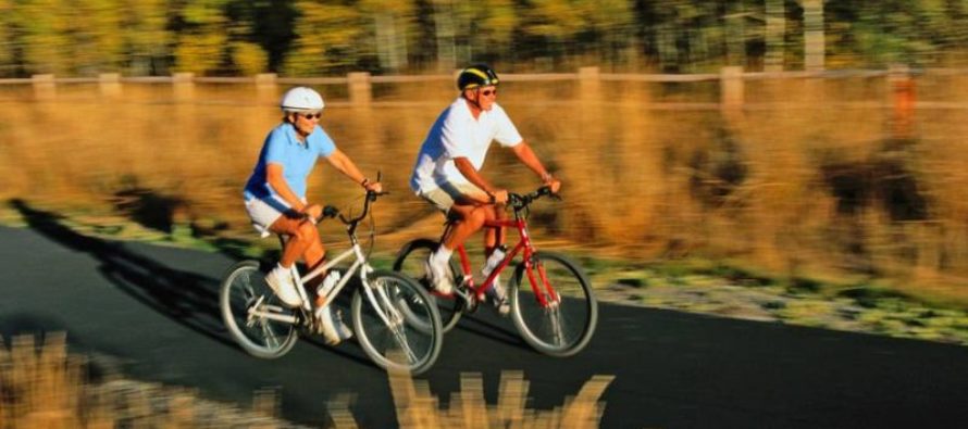 Als Trainingspartner ideal