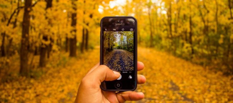 Digitale Fotografie: Das muss ein Fotodrucker können